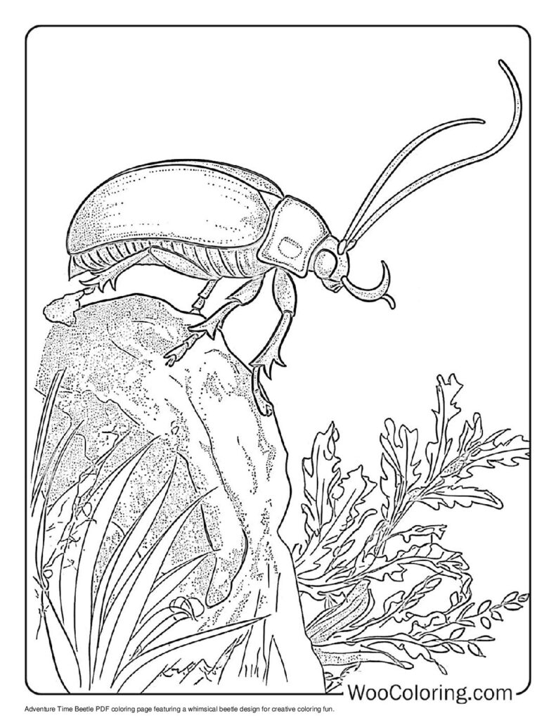 100 Beetle Coloring Pages Free PDF To Print Woo Coloring