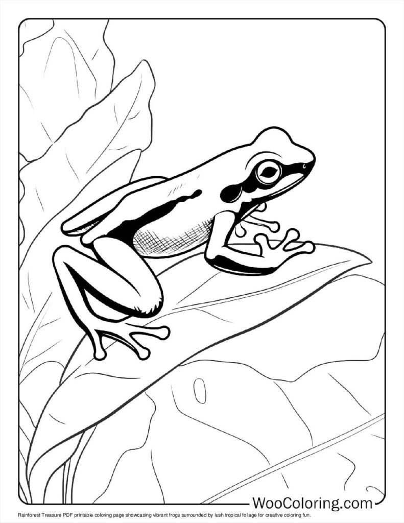 frog coloring page