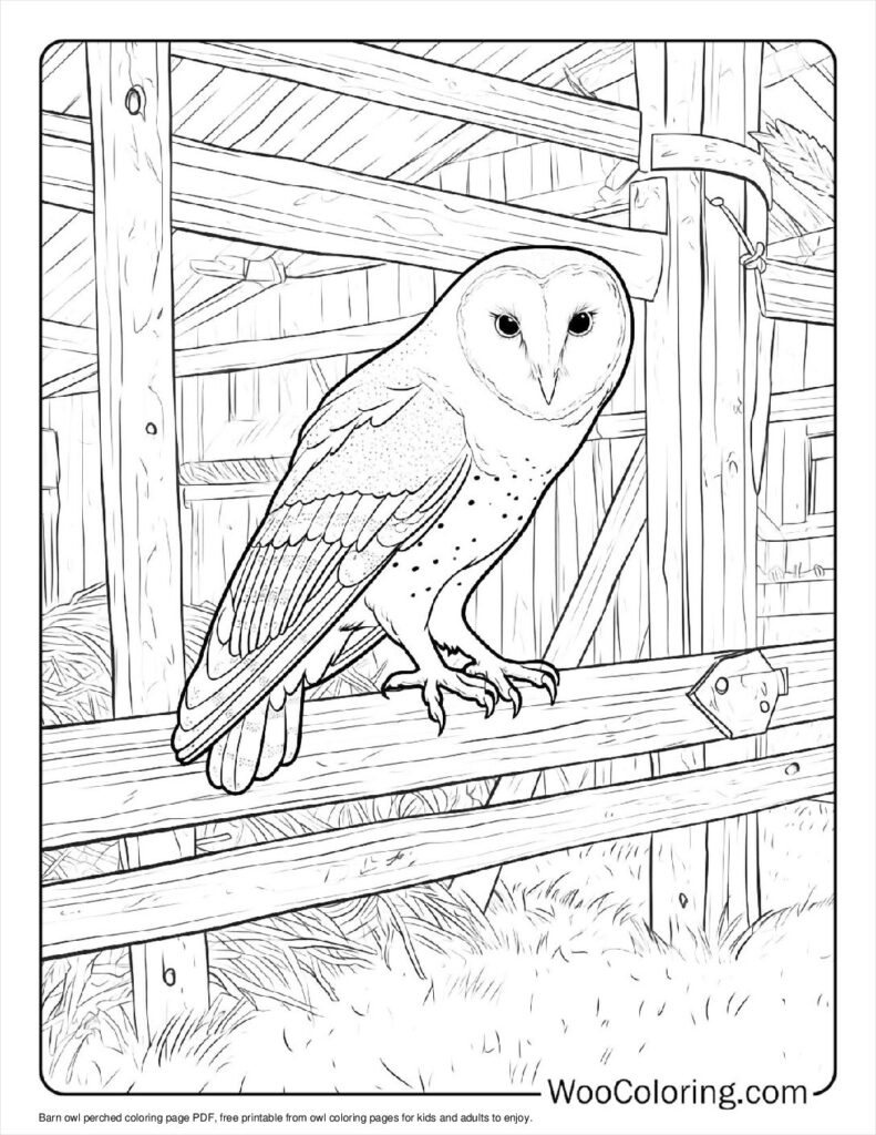100 Owl Coloring Pages Free PDF To Print Woo Coloring