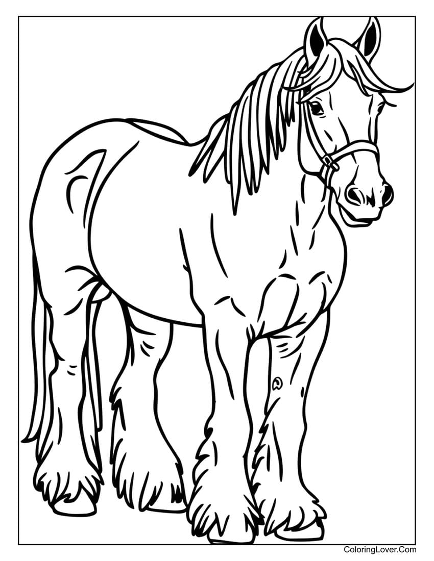 horses coloring pages