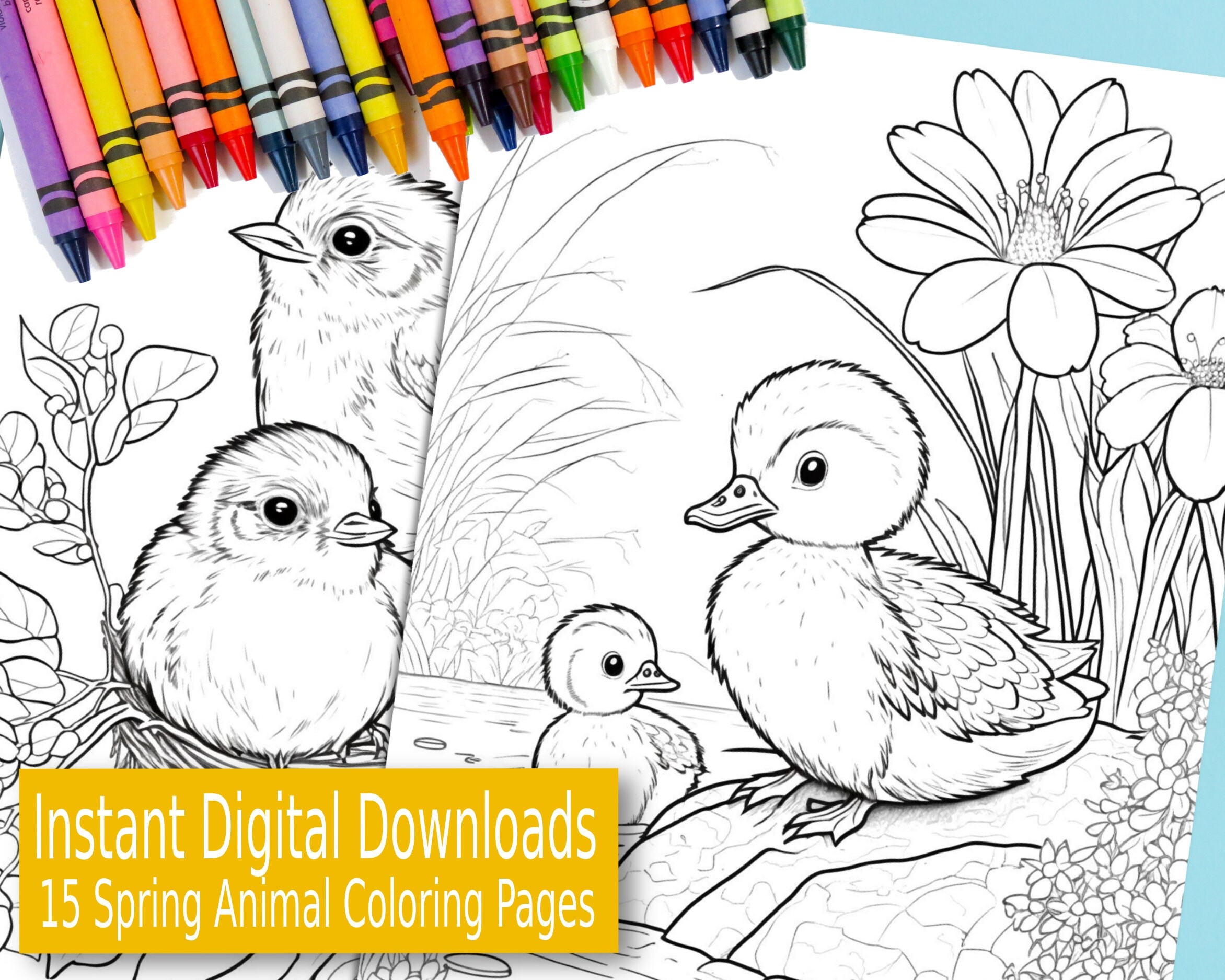 15 Spring time Animal Coloring Pages For Kids Etsy