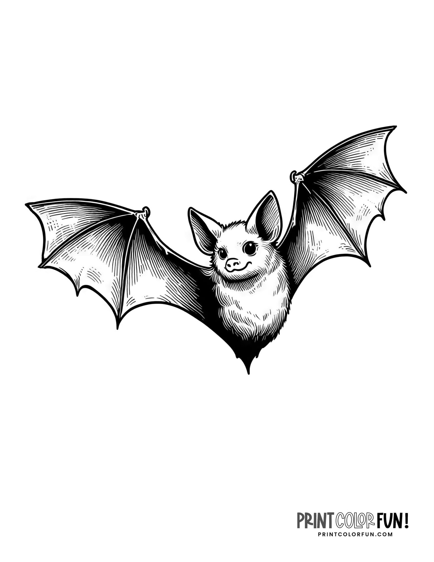 bat coloring pages