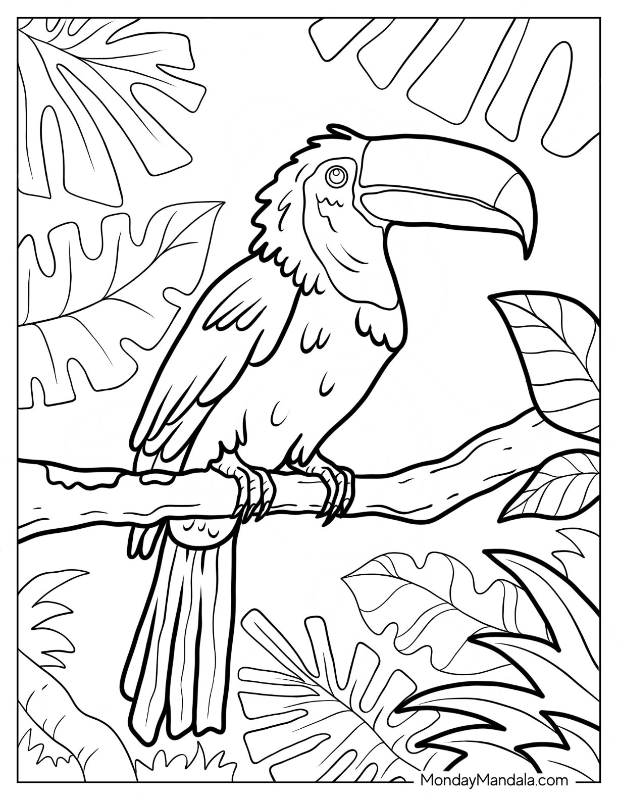 rainforest animals coloring pages