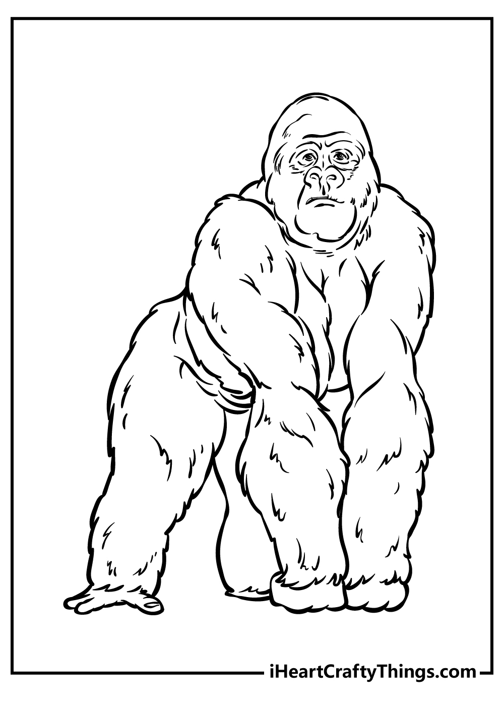 zoo animal coloring pages pdf