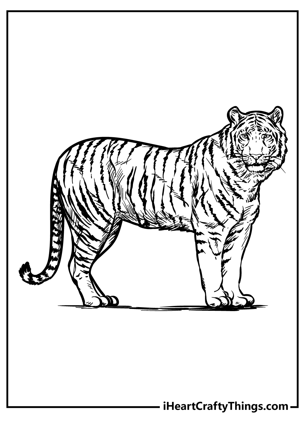 zoo animal coloring pages