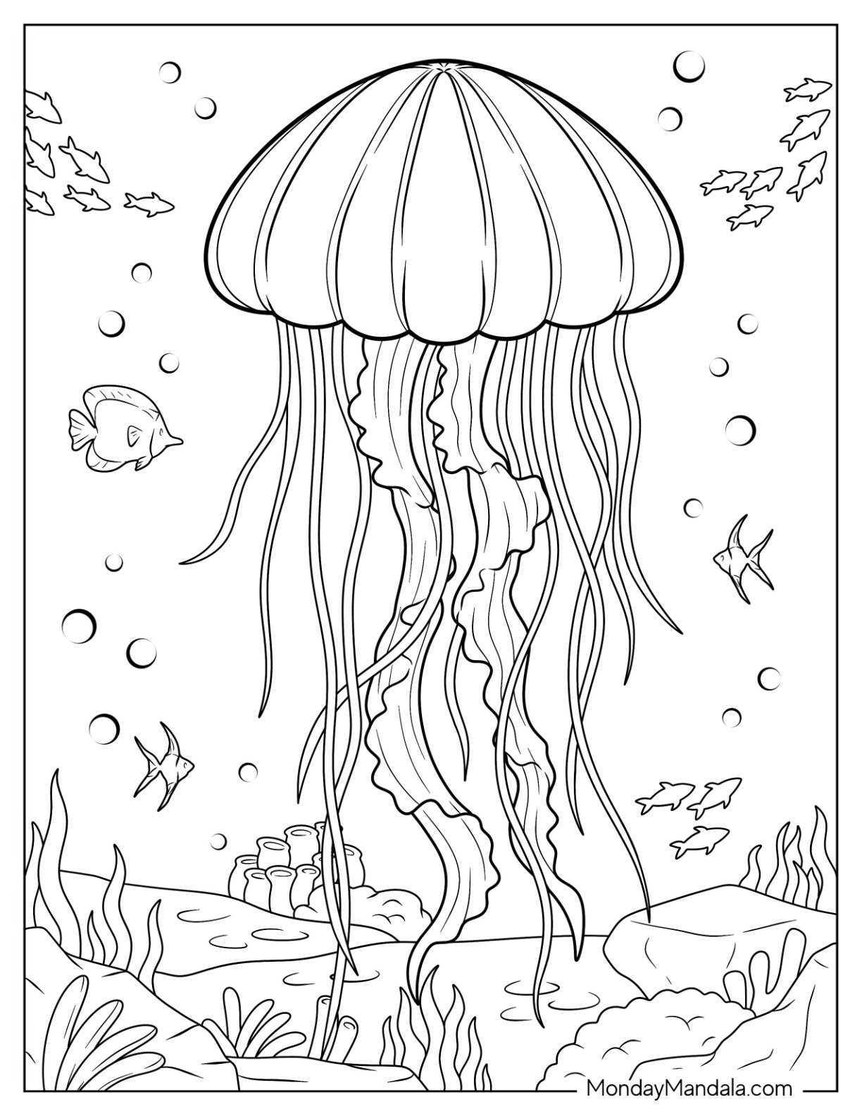 22 Jellyfish Coloring Pages Free PDF Printables