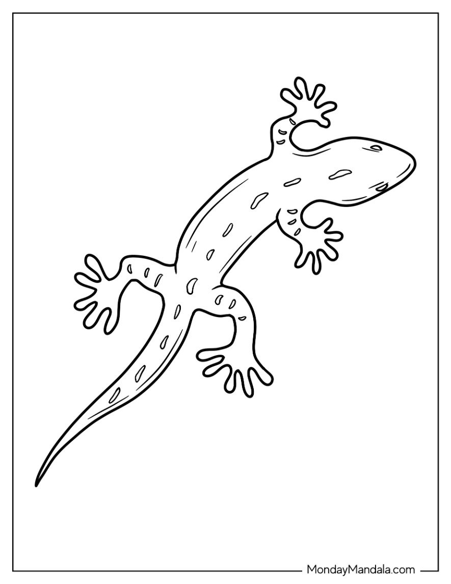 24 Lizard Coloring Pages Free PDF Printables 