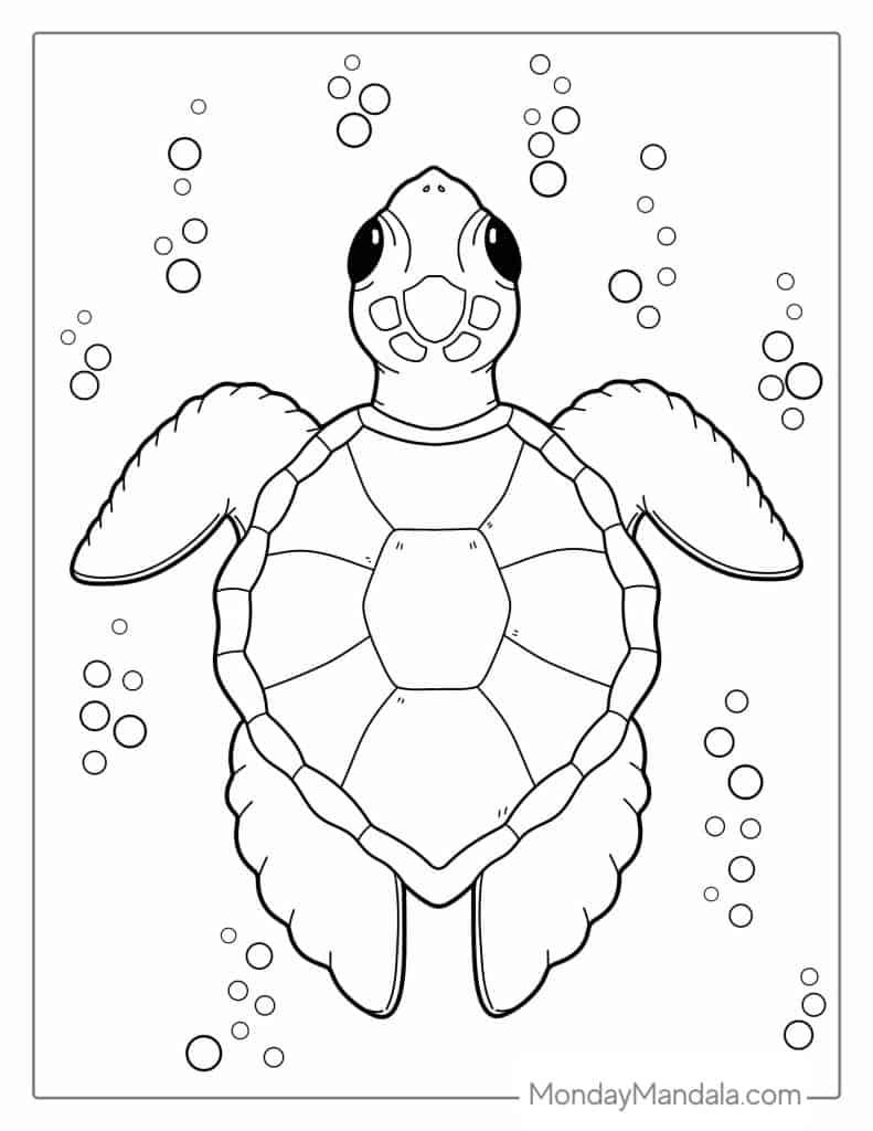 30 Intricate Animal Coloring Pages Sea Turtle Spiral Bound Coloring Book Dive Into 30 Calming Coloring P Coloring Book For Adults