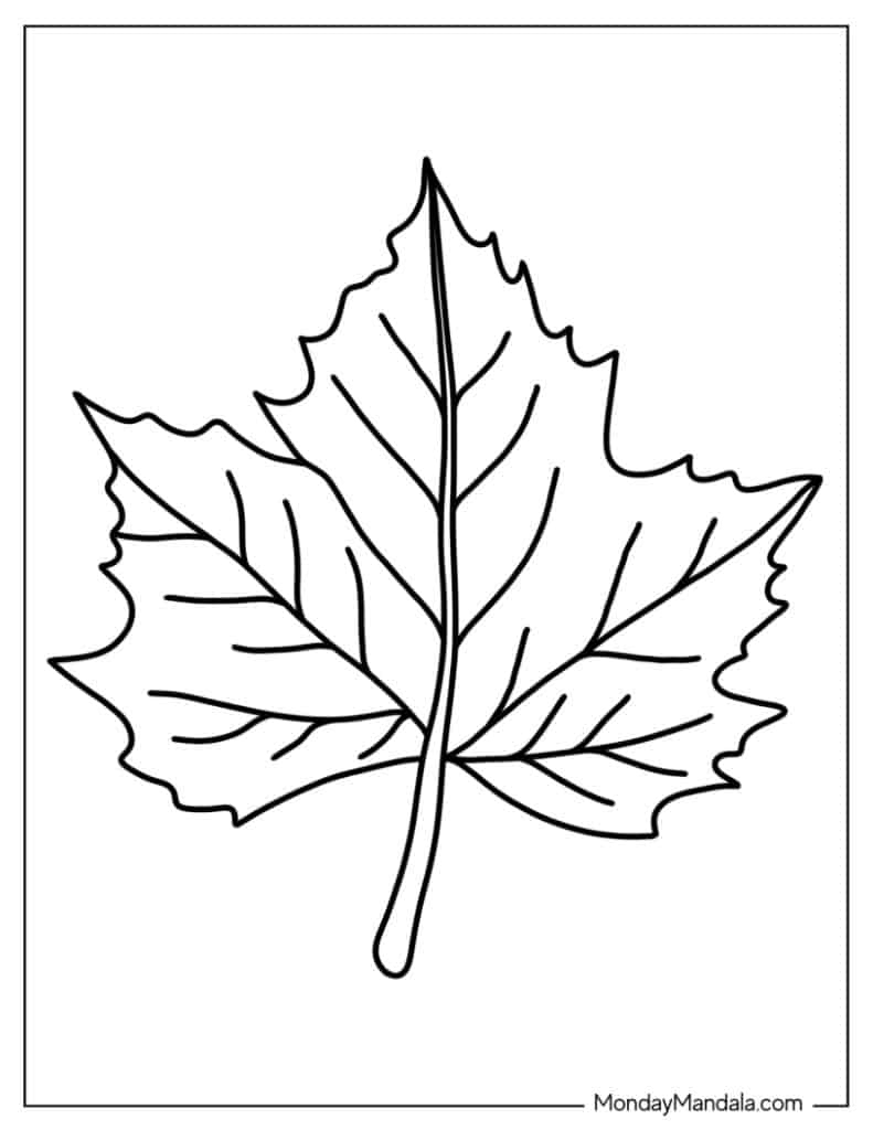 leaf coloring page preschool
