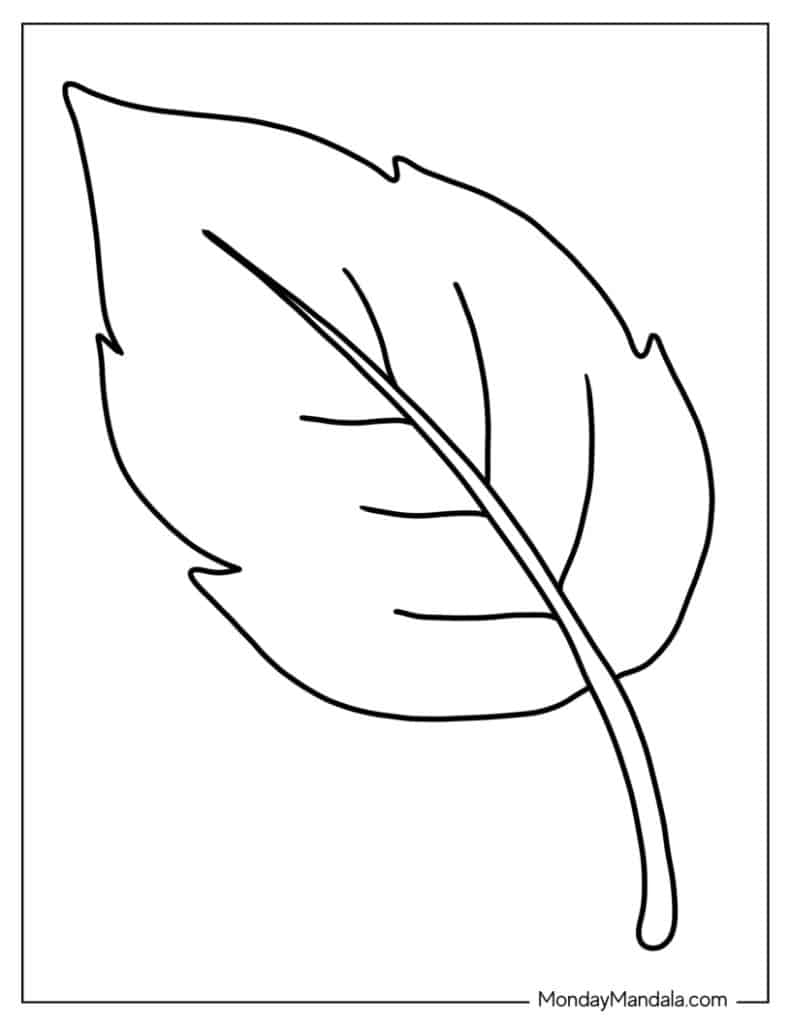 34 Leaf Coloring Pages Free PDF Printables 
