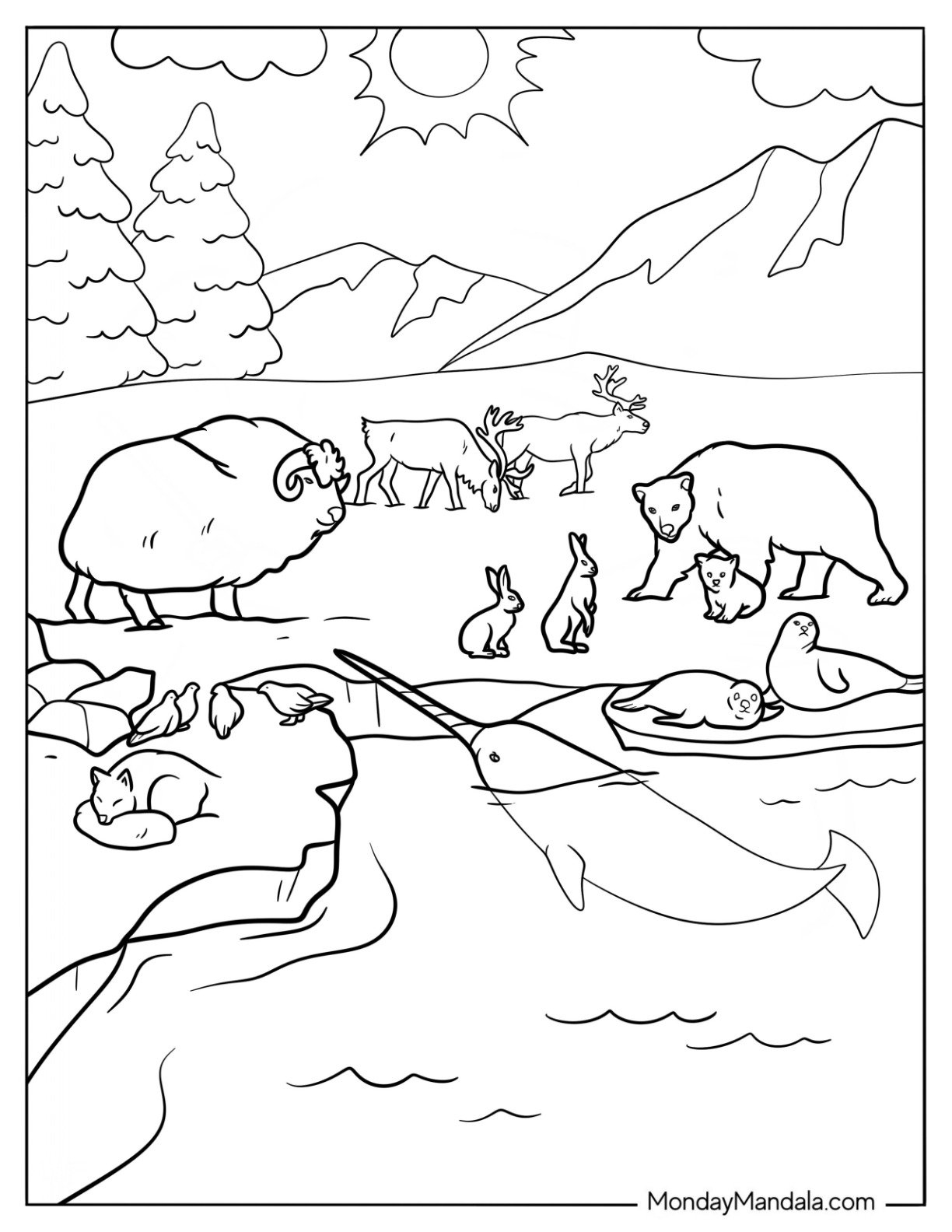 35 Arctic Animals Coloring Pages Free PDF Printables
