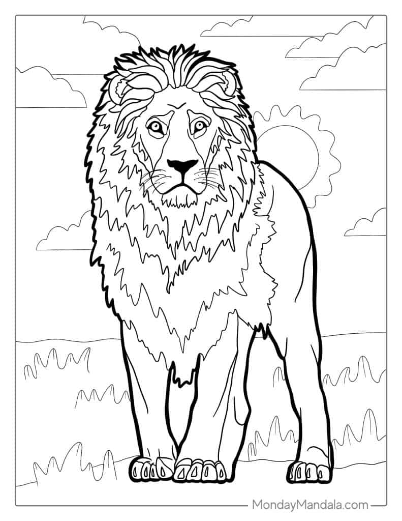 lion coloring page