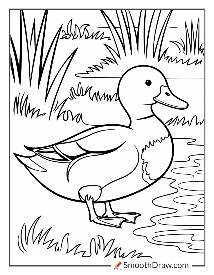 41 Duck Coloring Pages PDF Printables Smooth Draw