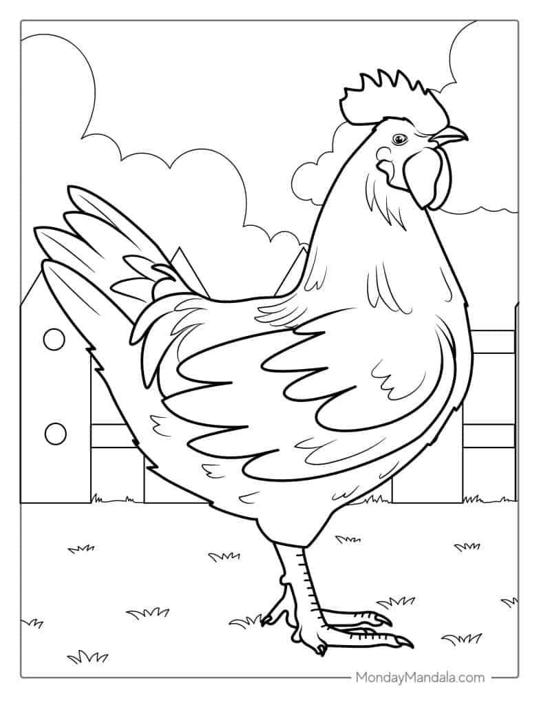 44 Chicken Coloring Pages Free PDF Printables