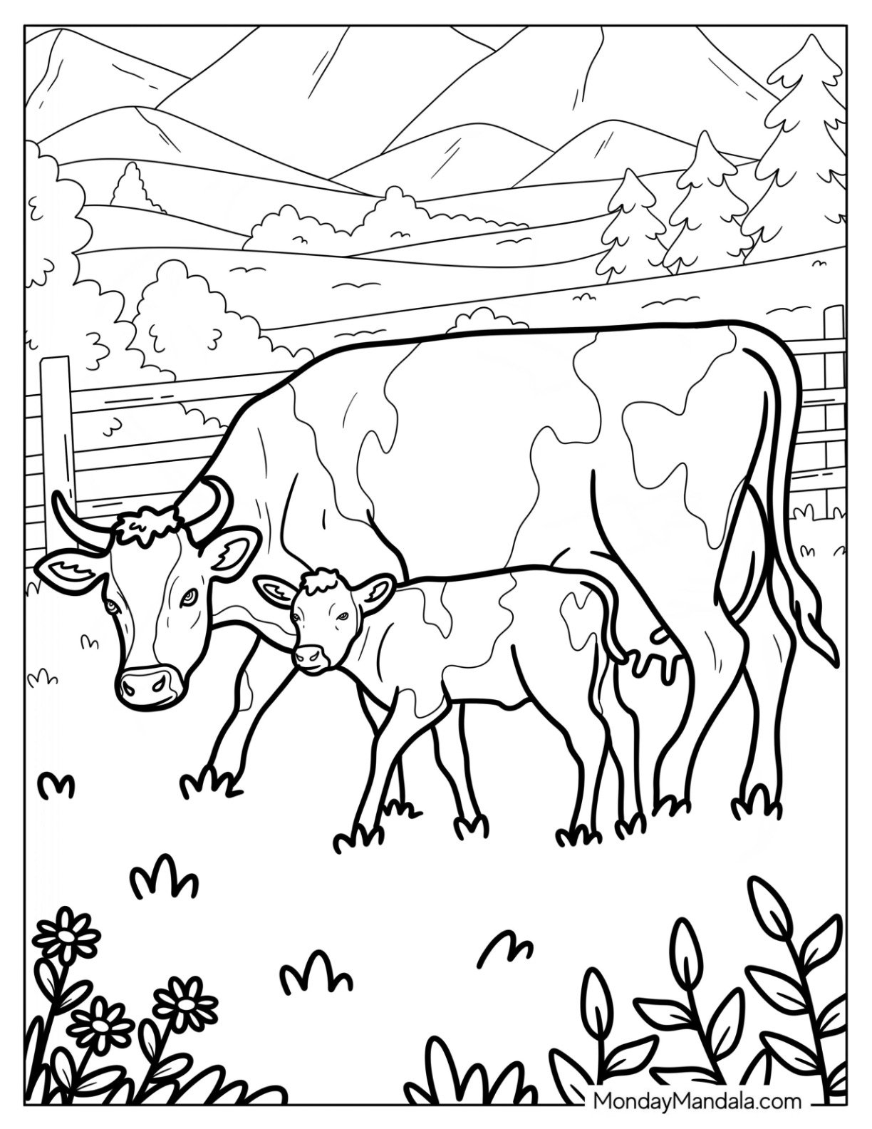 color pages cows