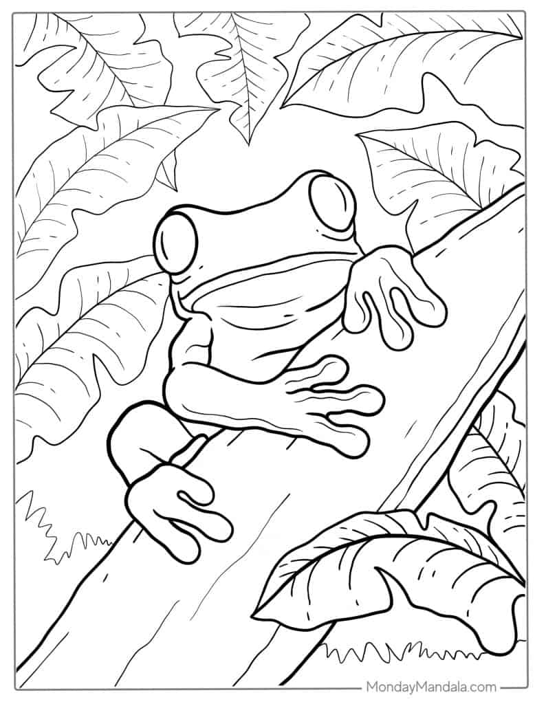 frog coloring pages