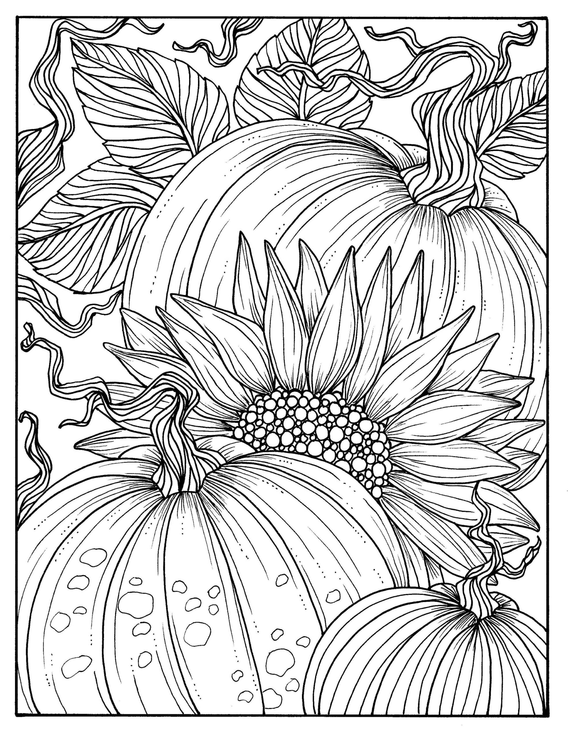 5 Pages Fabulous Fall Digital Downloads To Color Punpkins Crows Sunflowers Gourds Squirrel Thanks Autumn Etsy Hong Kong