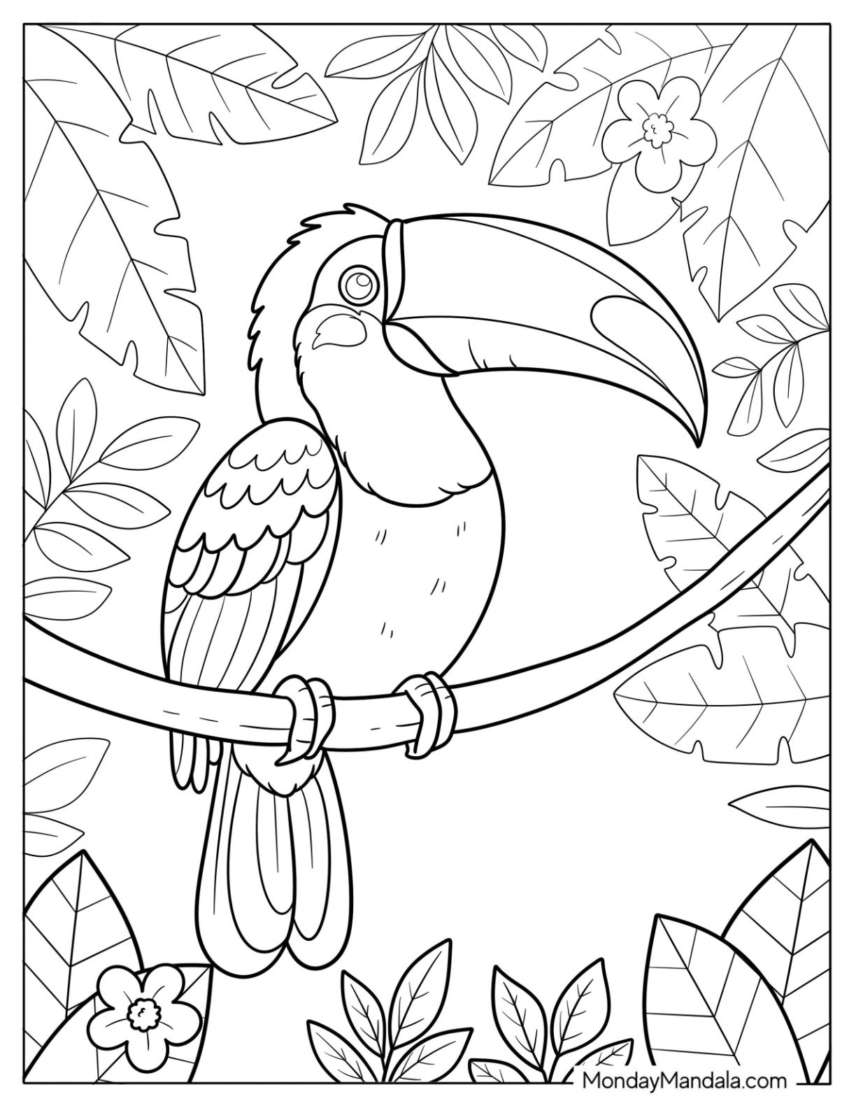 50 Bird Coloring Pages Free PDF Printables 