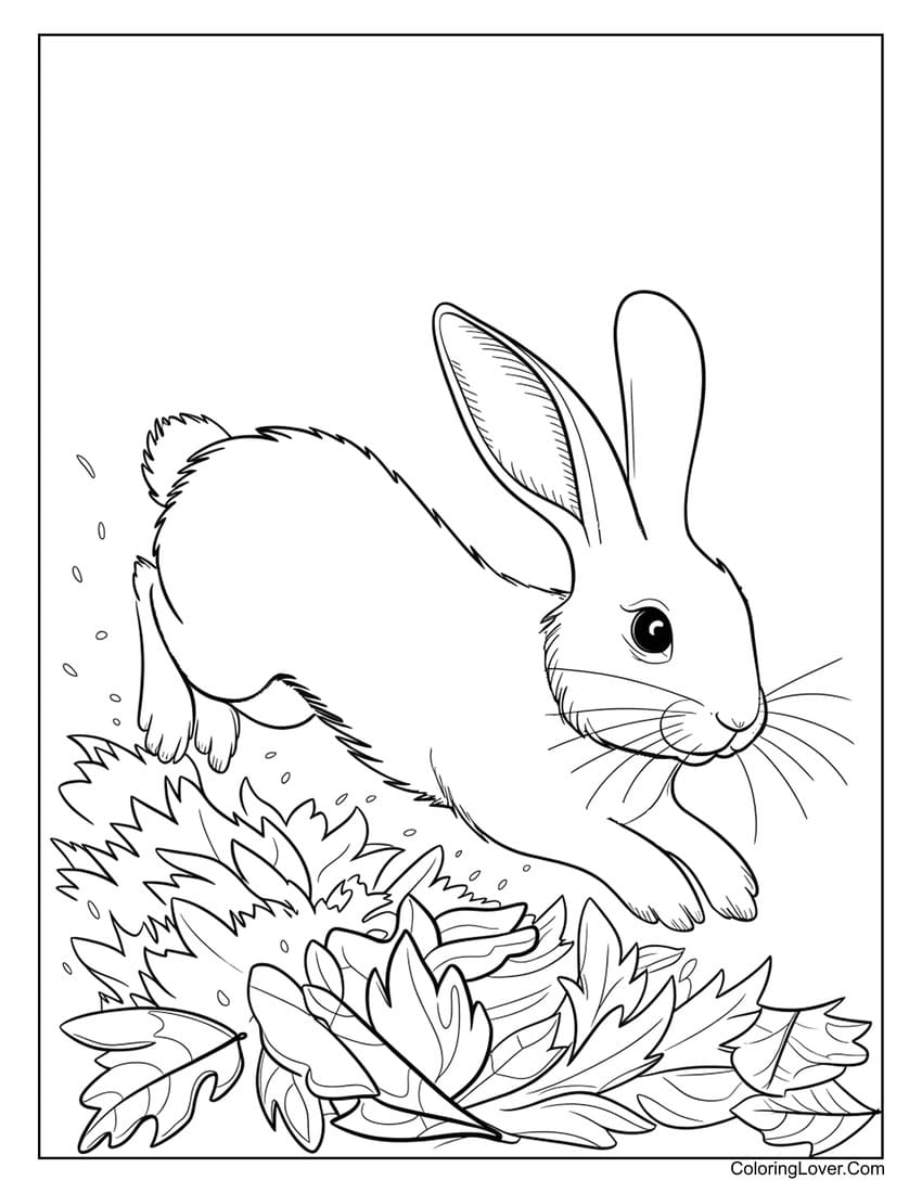 60 Bunny Coloring Pages Free Printables For All Ages 