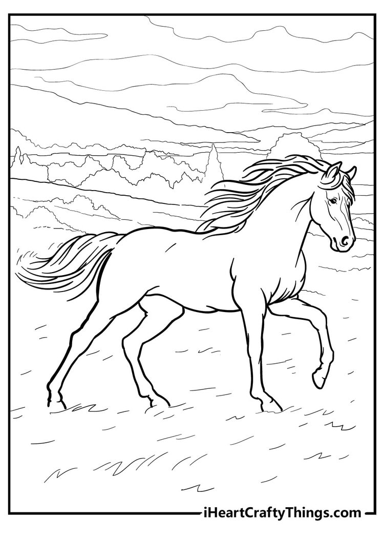 horse coloring page
