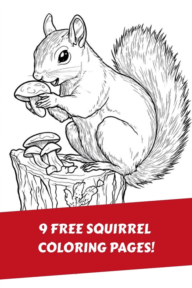 9 Squirrel Coloring Page 