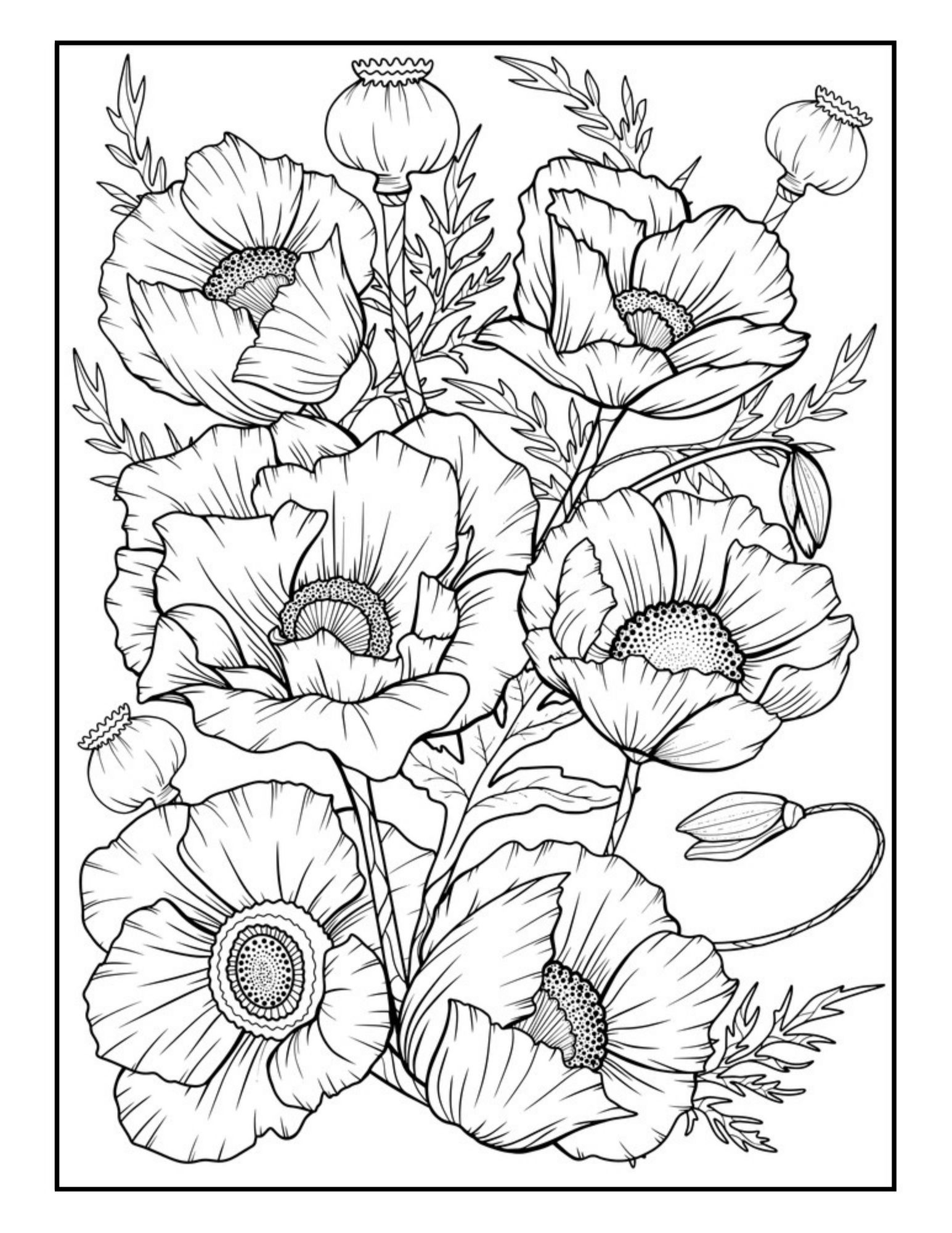 flower coloring pages for adults