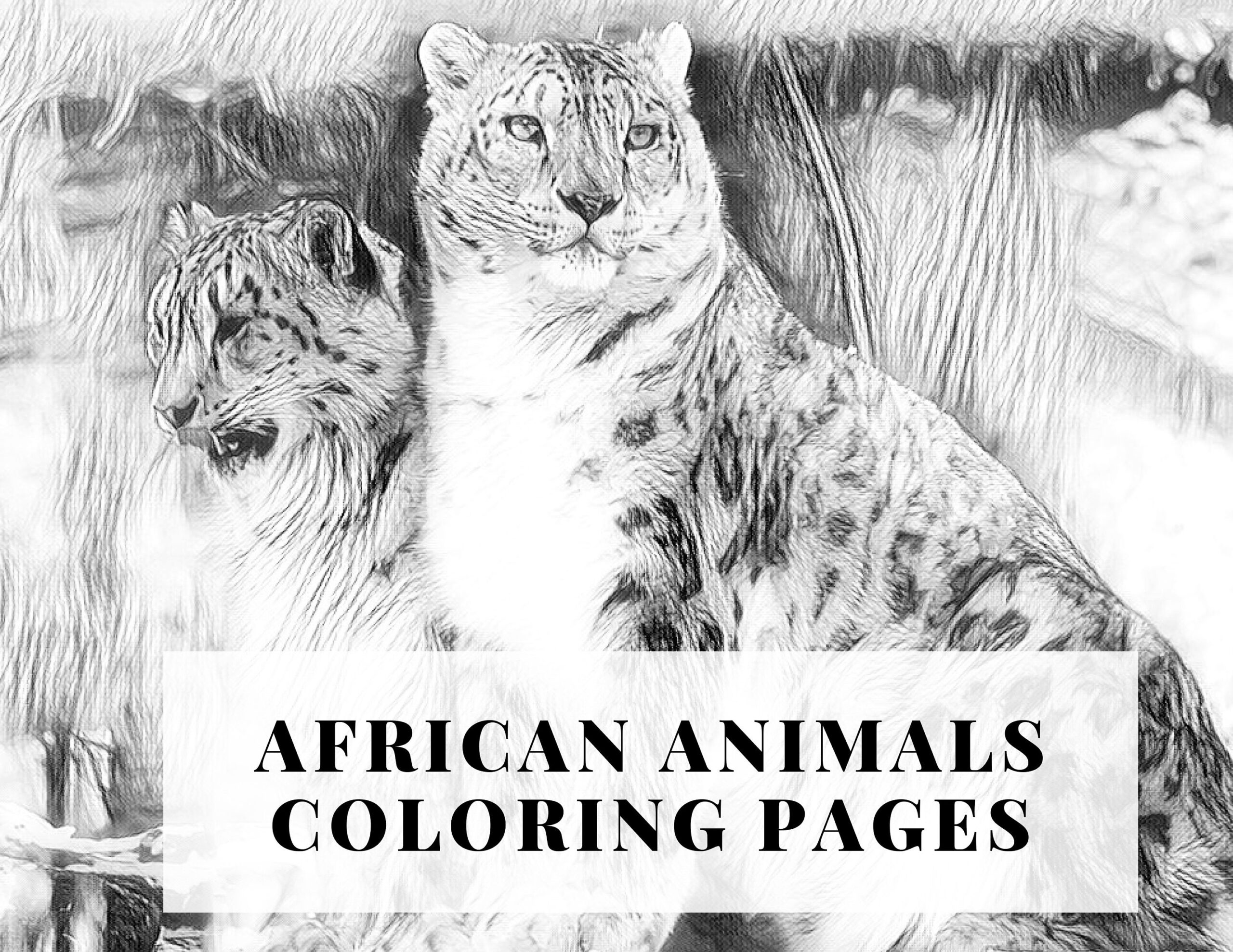 coloring pages of realistic animals
