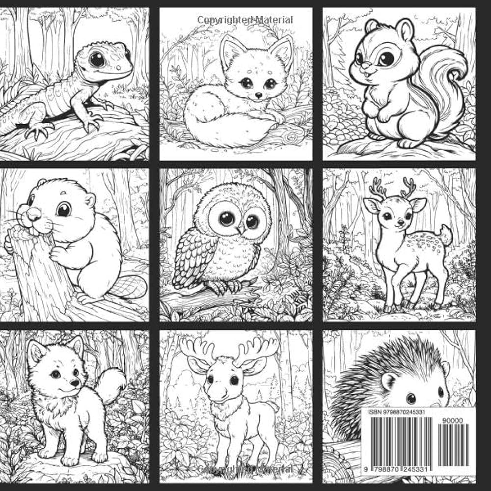 Amazon Baby Woodland Animals Coloring Book 9798870245331 Kirkpatrick Erika Books
