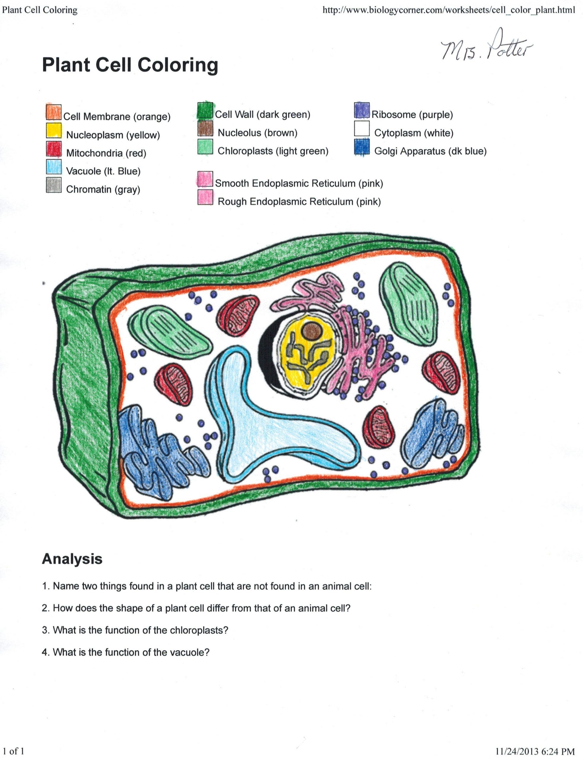 plant and animal cell coloring page