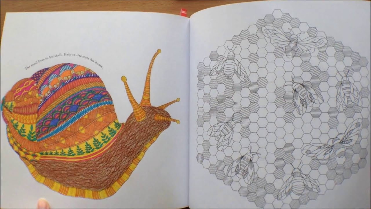 Animal Kingdom By Millie Marotta Colouring Book Flipthrough YouTube