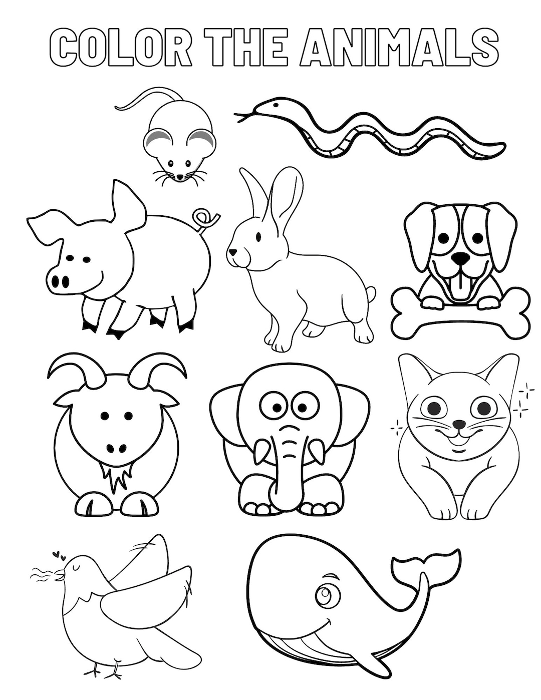 Animals Coloring Sheet Etsy