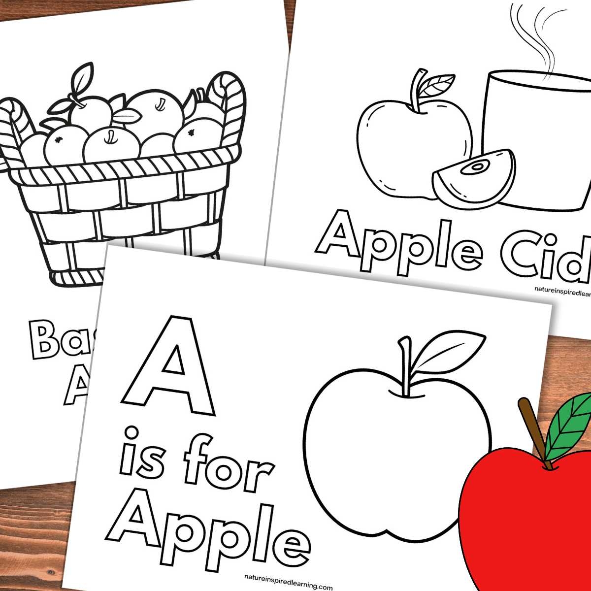 Apple Coloring Pages Nature Inspired Learning