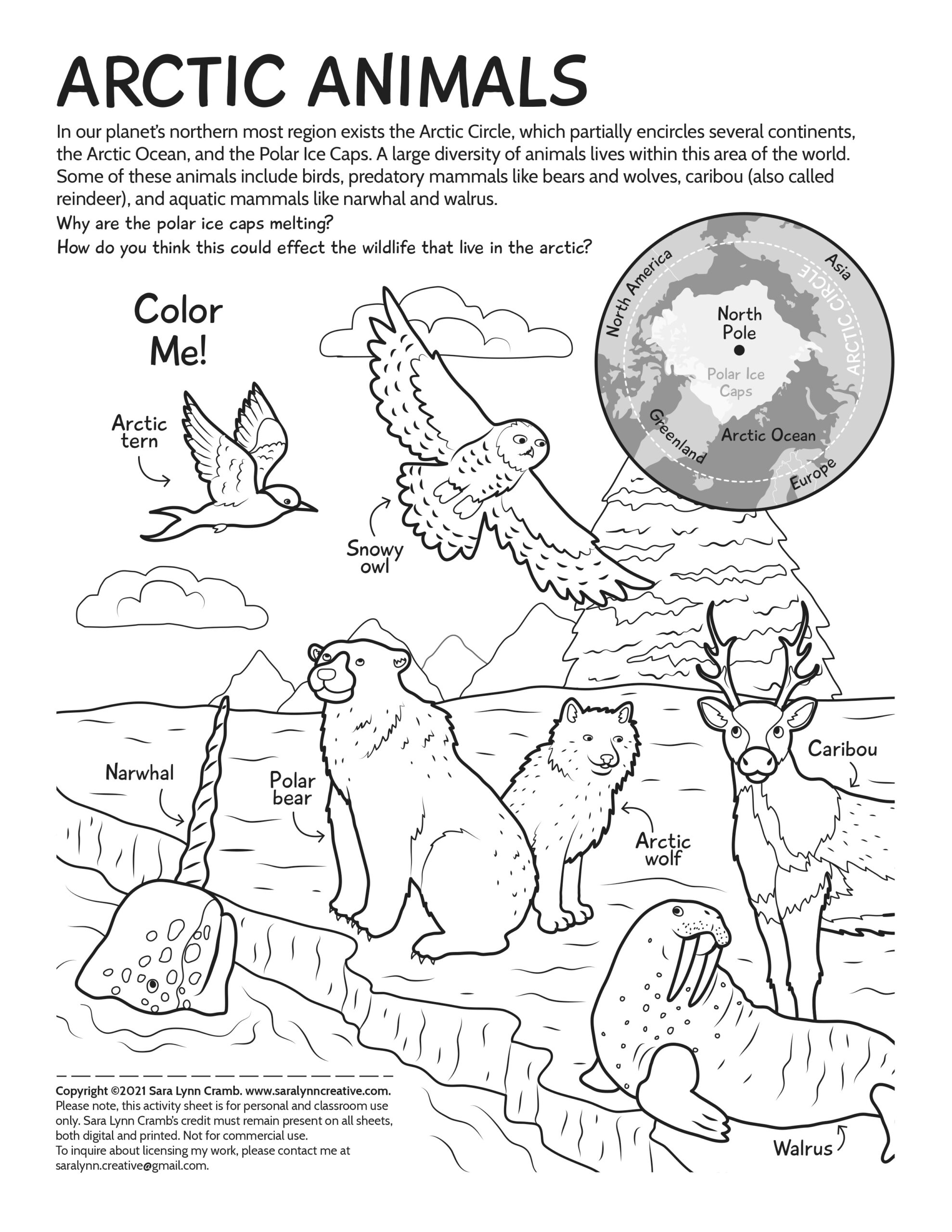 polar animals coloring pages