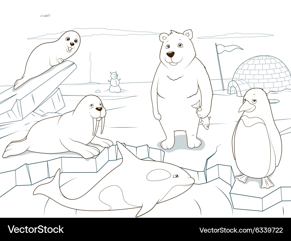 Arctic Animals Coloring Page Royalty Free Vector VectorStock