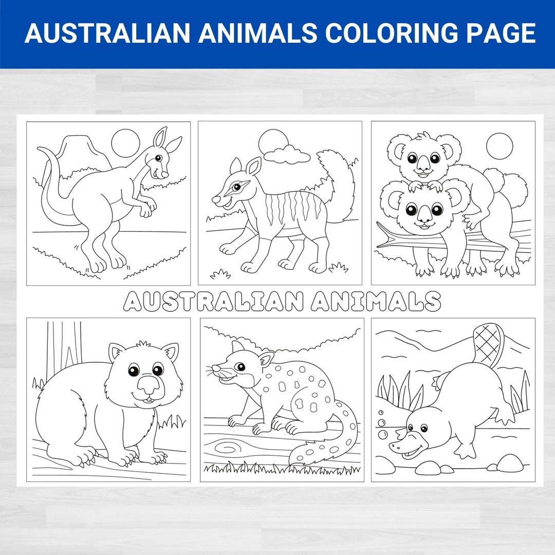 Australian Animals Coloring Page Marsupials Printable digital Download Etsy