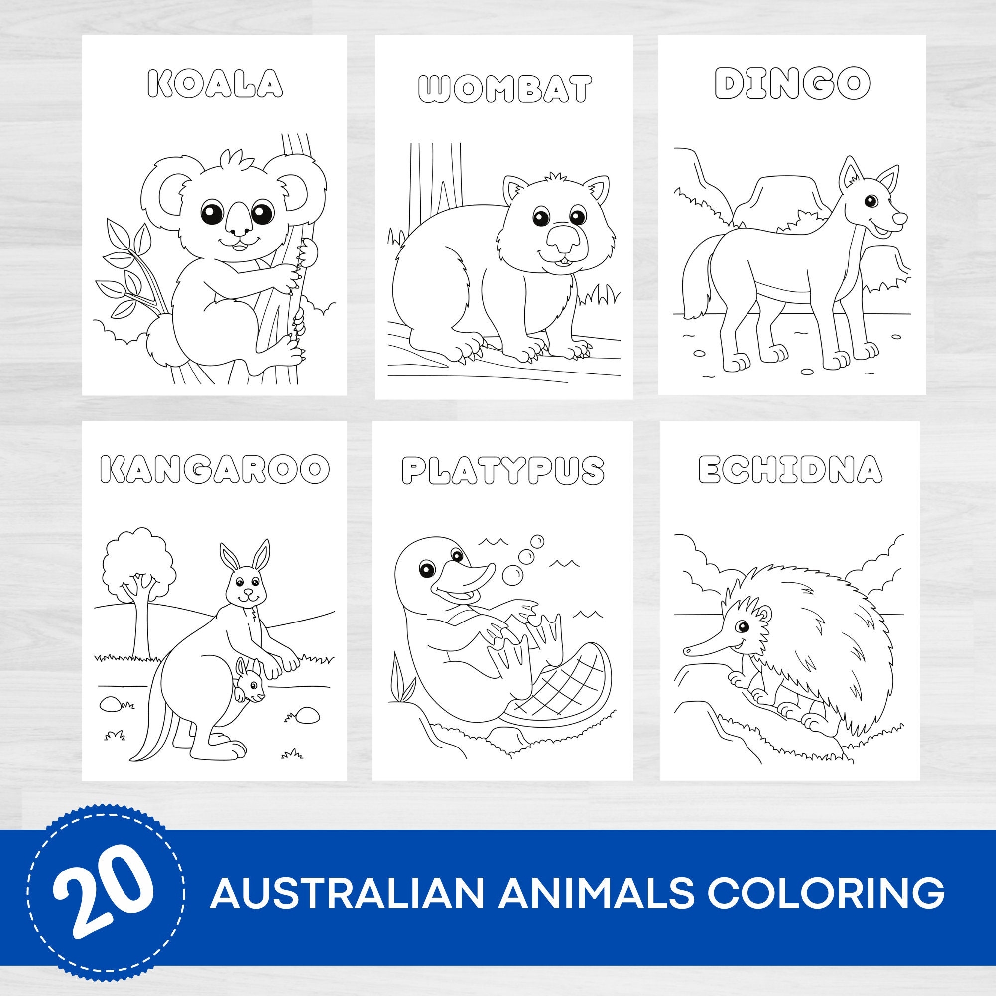 Australian Animals Coloring Pages Kids Activity digital Download Etsy
