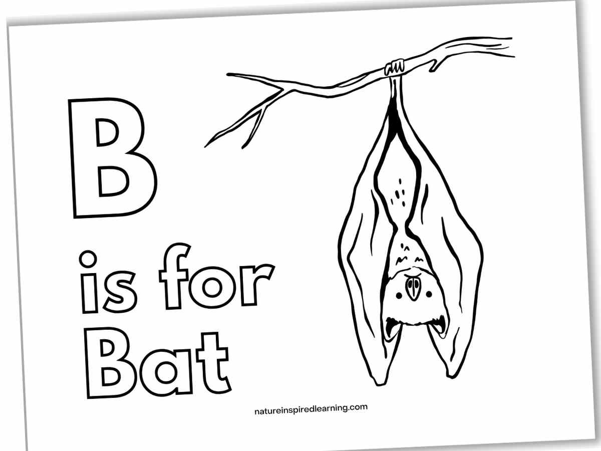 bat coloring pages preschool