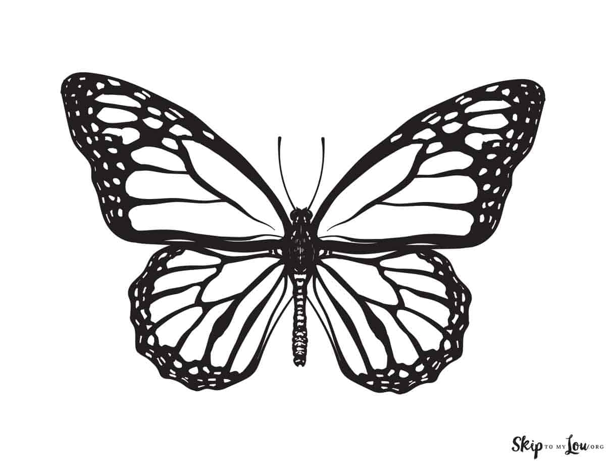 butterfly coloring pages printable