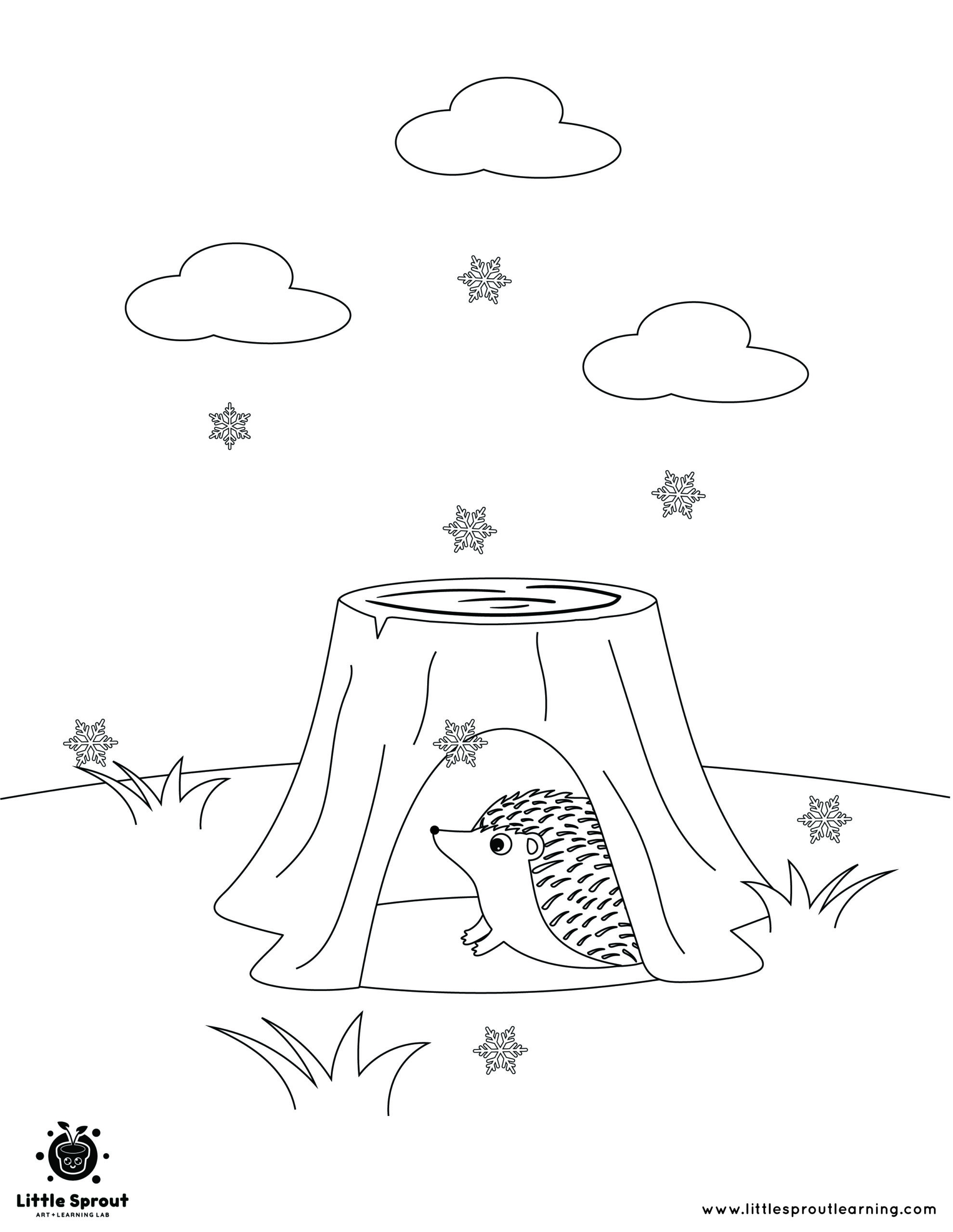 Best Hibernating Animal Coloring Pages Little Sprout Art