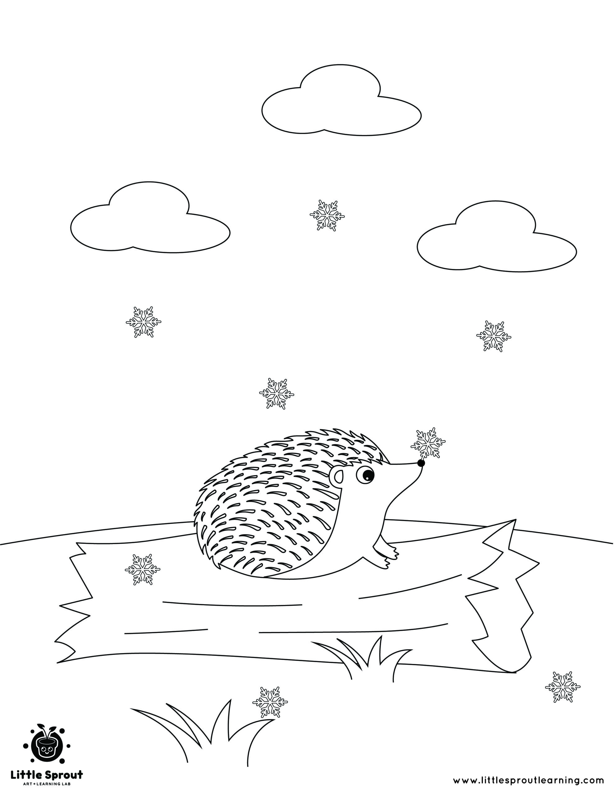 Best Hibernating Animal Coloring Pages Little Sprout Art