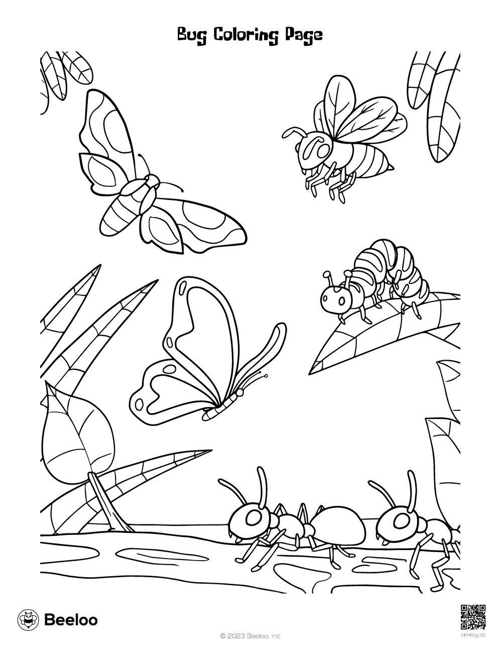 bug coloring page