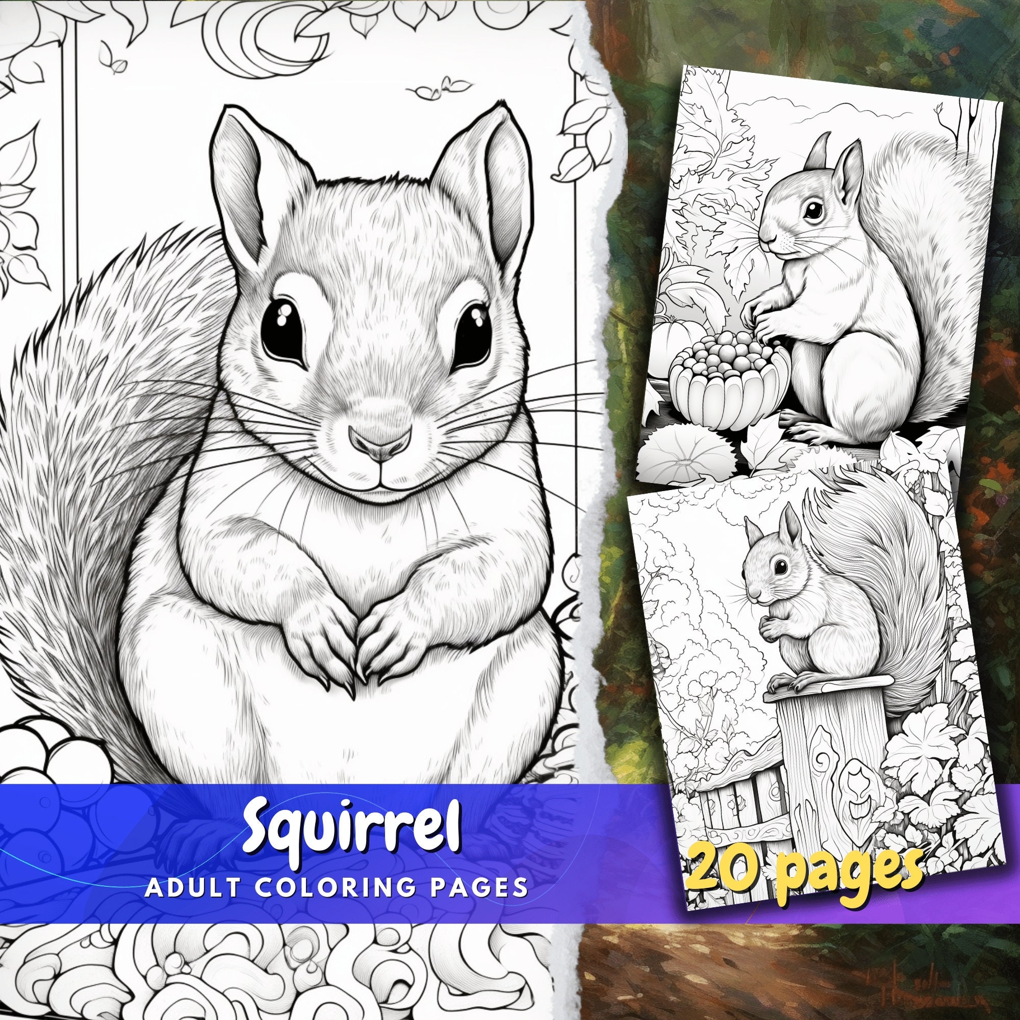 squirrel coloring page