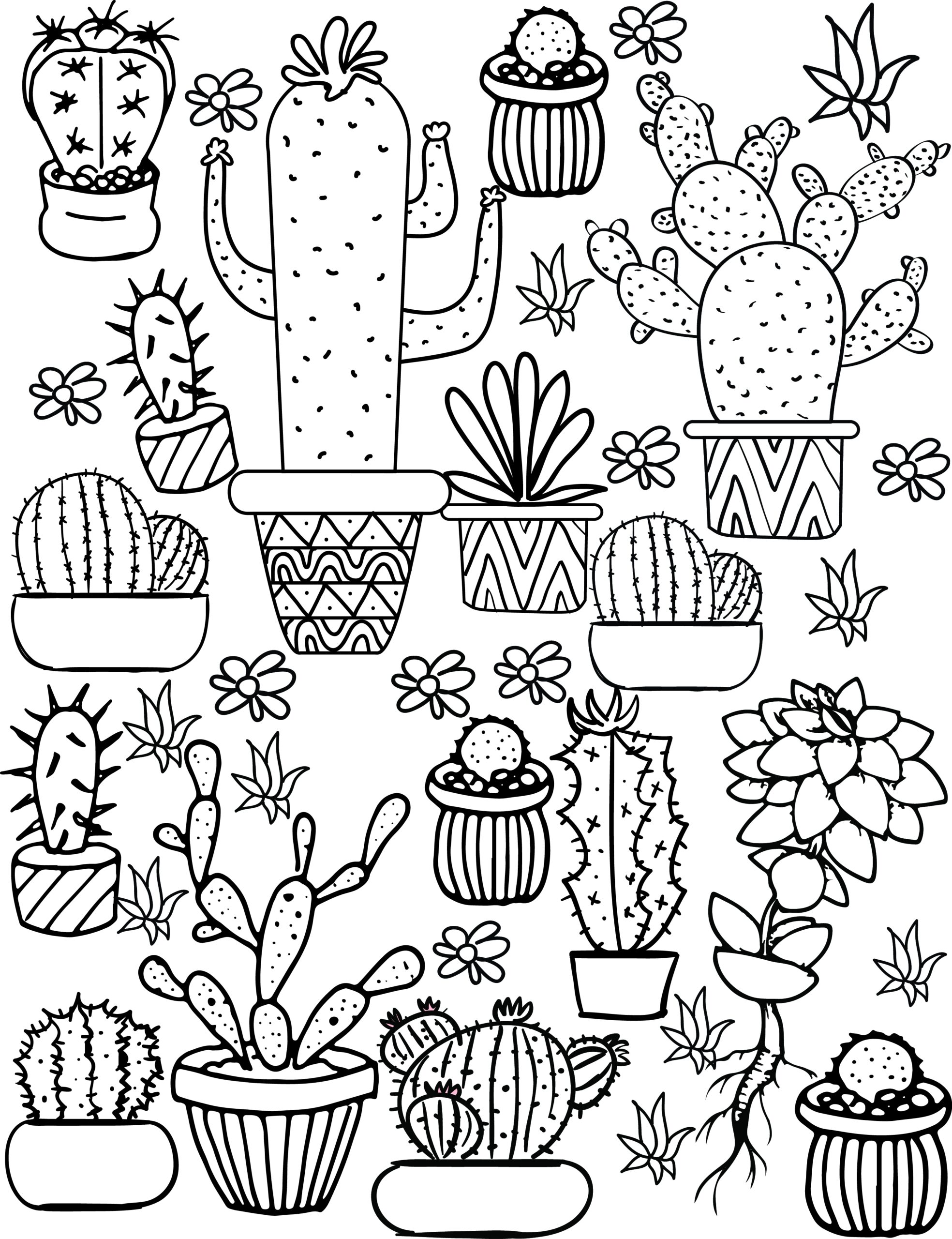 Cactus And Succulent Printable Adult Coloring Pages
