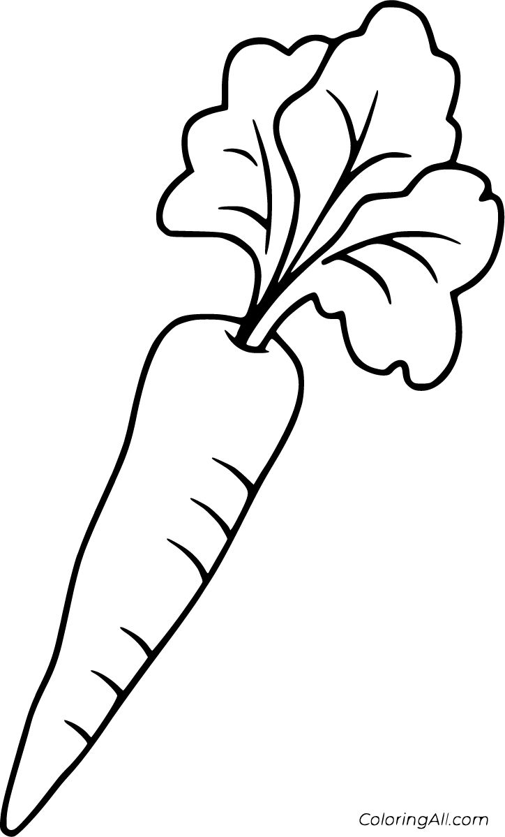 Carrot Coloring Pages