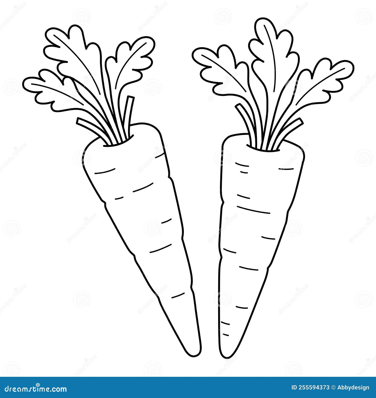 Carrots Vegetable Isolated Coloring Page For Kids Stock Vector Illustration Of Silhouette Colour 255594373