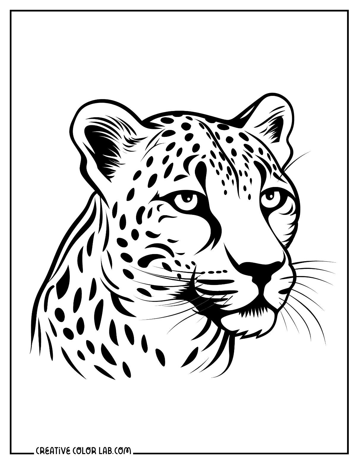 Cheetah Coloring Pages Free Printable PDFs