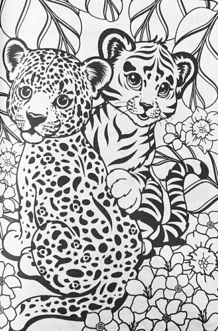 cheetah coloring page
