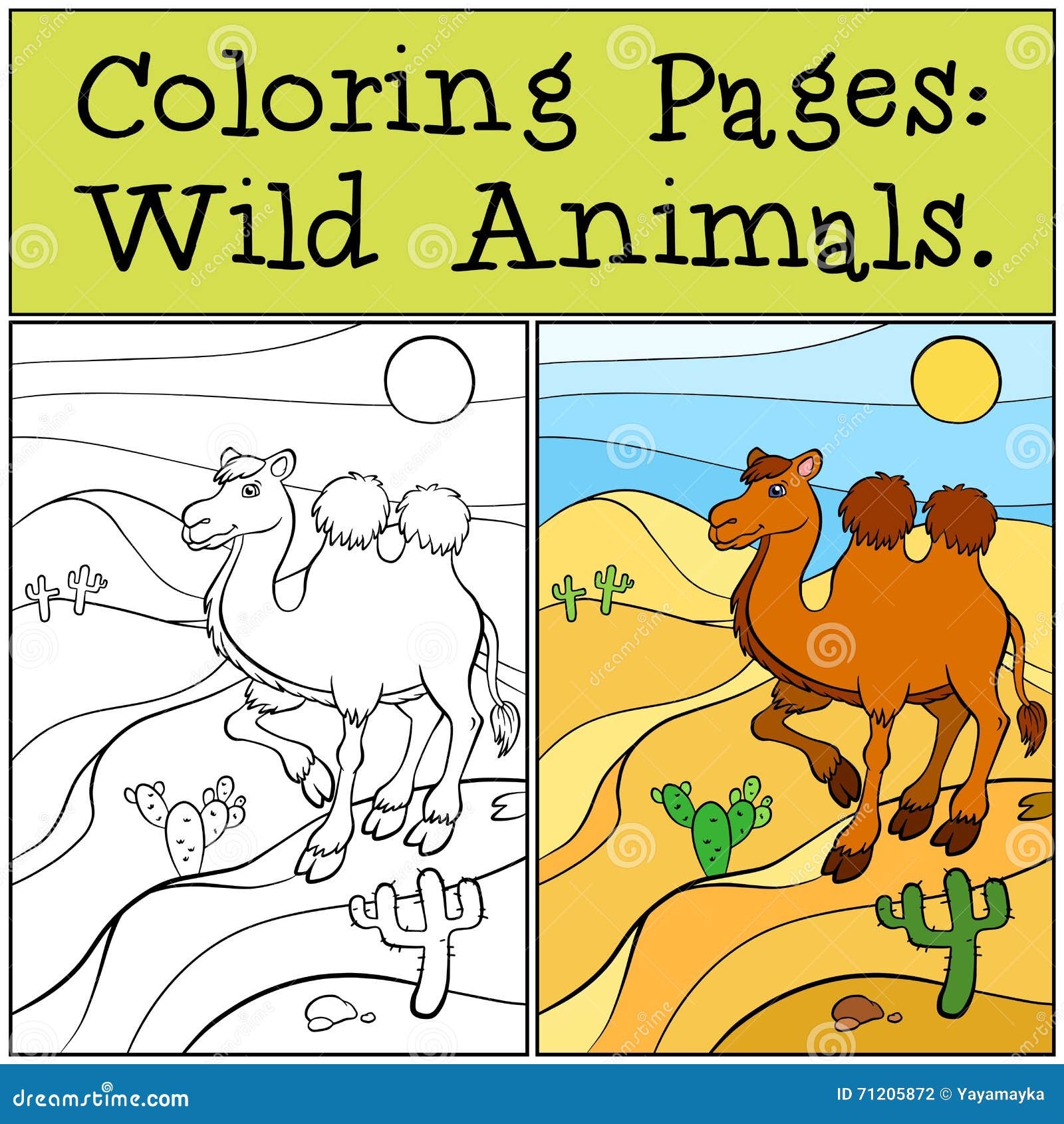 Coloring Desert Animals Stock Illustrations 281 Coloring Desert Animals Stock Illustrations Vectors Clipart Dreamstime