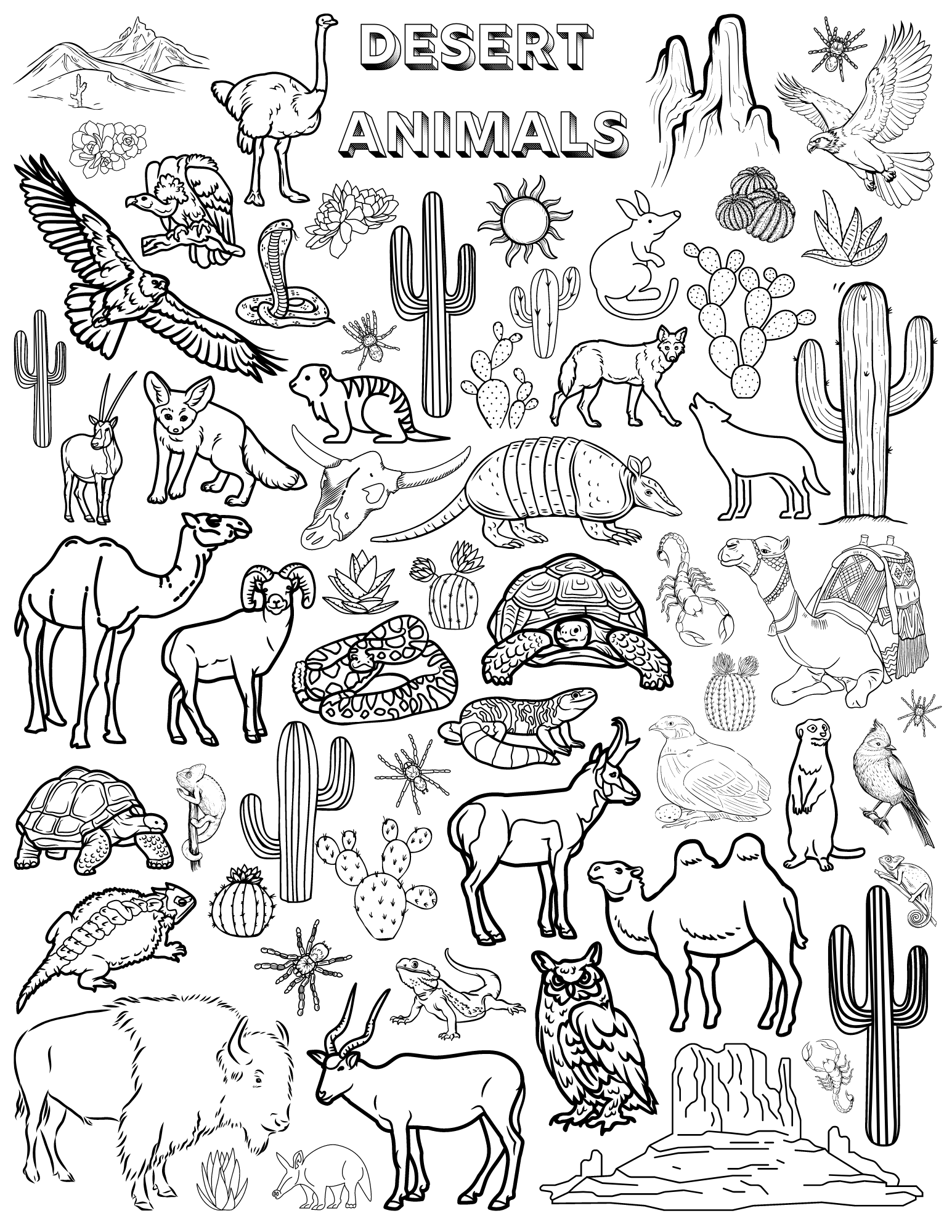 Coloring Pages For All Ages Kaylee Miller