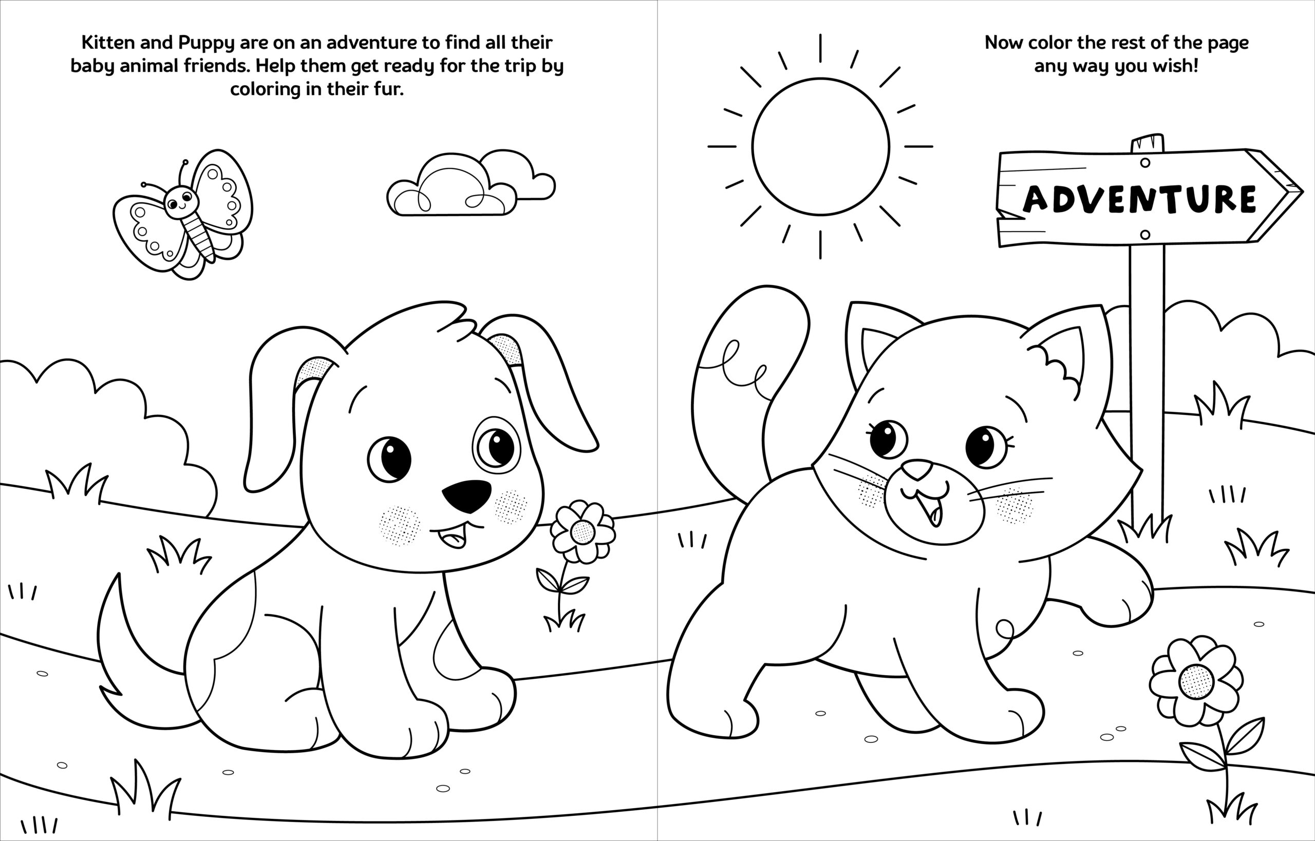 Crayola Baby Animals A Crayola Baby Animals Coloring Activity Book For Kids Little Bee Books